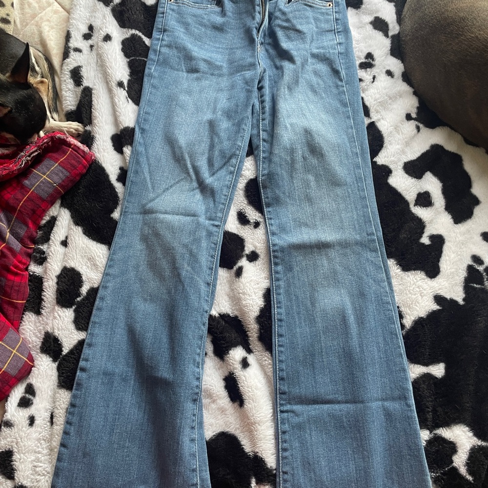 Levi's Blue Flare Wide Leg Jeans